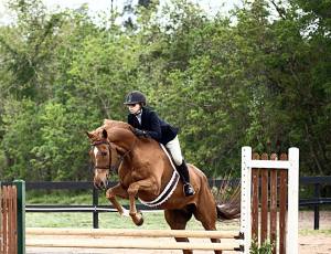 10255571_10154015332875043_109762580_n