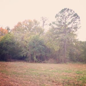 01806f79c849ff87bd31624ba0a99ae1c92c7a3b6f