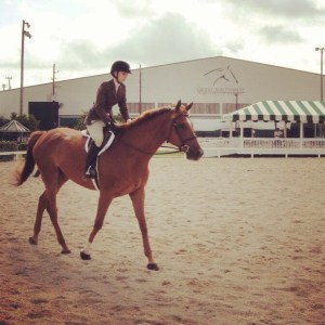 0109e612e768ff3fc103c444749d4897c6176d8f55