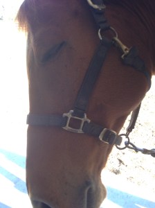 0116c100e9d8ad323078f7444f8e22f82553aa93a9