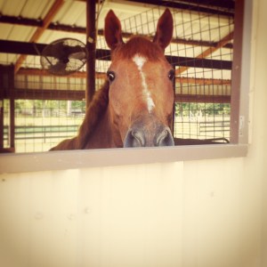 015e3fed0ddb778dfbde47475d7cdbf7f68980835b