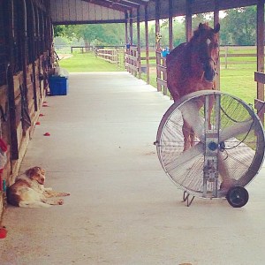 010e4c3b12d8003be74d2d538fee910422673eeaed