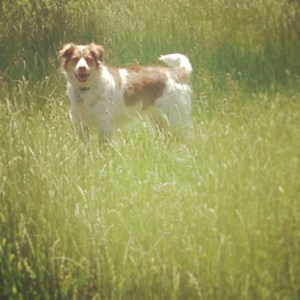 01963f8e12f65c64f21aef132c351c57cfd56a571f