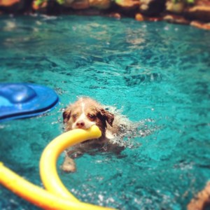 01ba06979db524e688f533a48d1ae97c41d9cbae9e