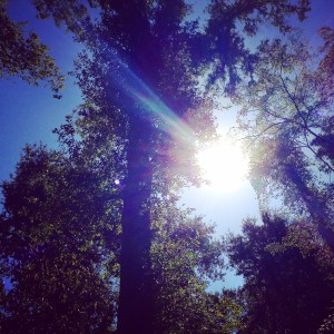 0134319fed7abb504f536f314a2aa9e516b8db5b00