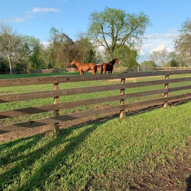 ZhRhyPS6Rke2%z7Ye7M9CQ