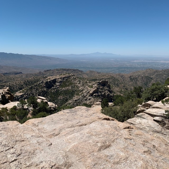 DTeSQdc4RTu3JloWnPMKyA