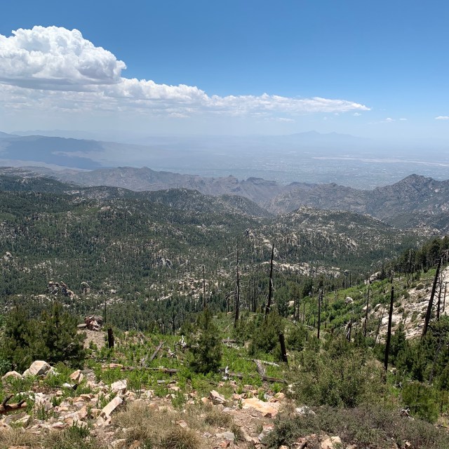 QJM2WmN6T6ytSHXKjiNH2A