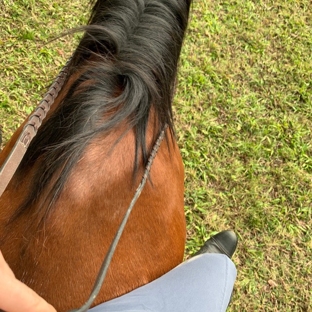 uU4z3PU5SNSo6b1VLixzZg